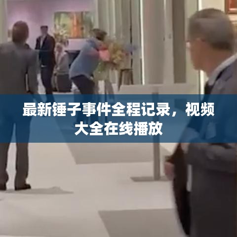 最新锤子事件全程记录，视频大全在线播放