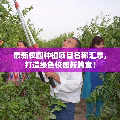 草长莺飞 第2页