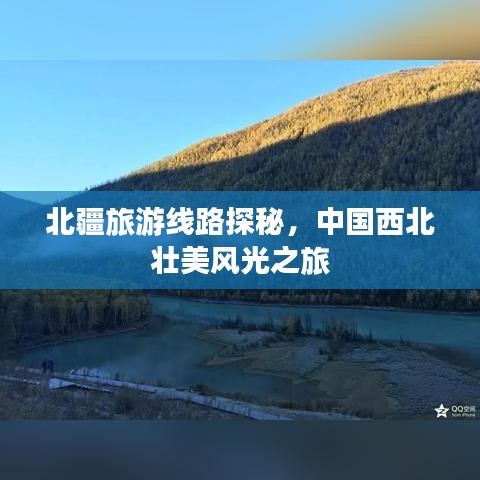 披肝沥胆 第2页