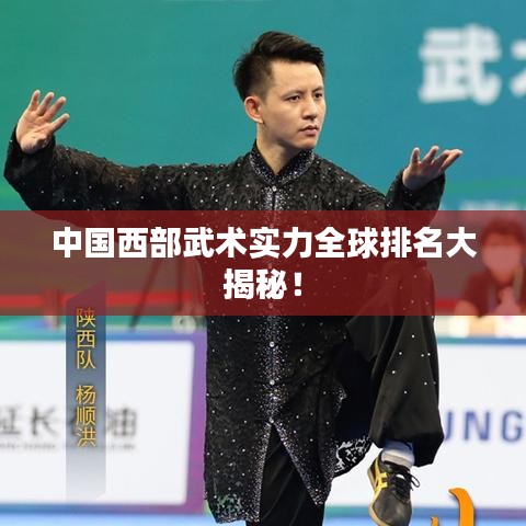 中国西部武术实力全球排名大揭秘！