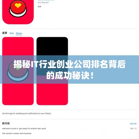 揭秘IT行业创业公司排名背后的成功秘诀！
