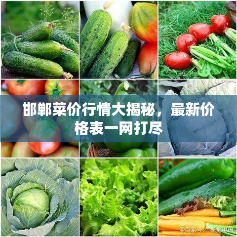 销声匿迹 第2页