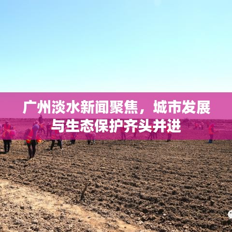 广州淡水新闻聚焦，城市发展与生态保护齐头并进