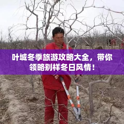 新闻动态 第133页