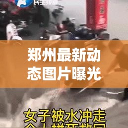 郑州最新动态图片曝光，不容错过！