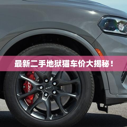 富贵逼人 第2页