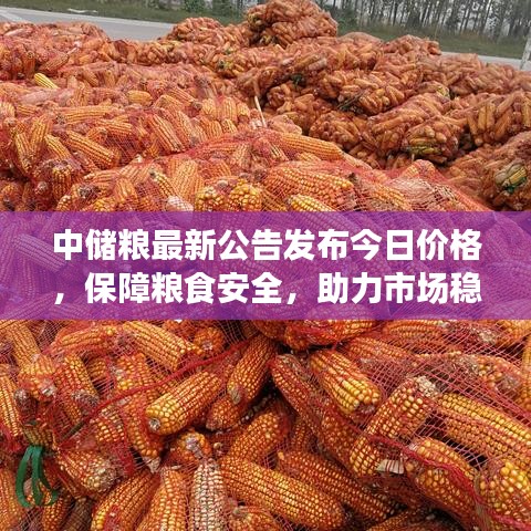 中储粮最新公告发布今日价格，保障粮食安全，助力市场稳定！