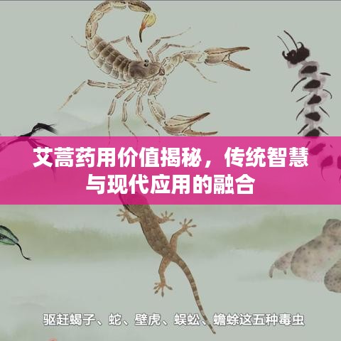 无独有偶 第2页