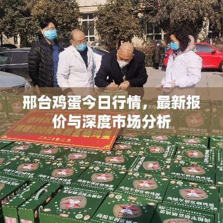 邢台鸡蛋今日行情，最新报价与深度市场分析