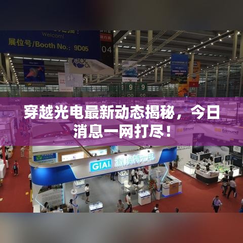 虫言鸟迹 第2页