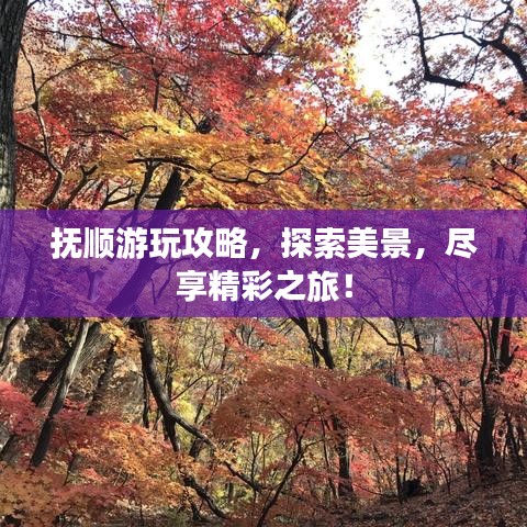 抚顺游玩攻略，探索美景，尽享精彩之旅！