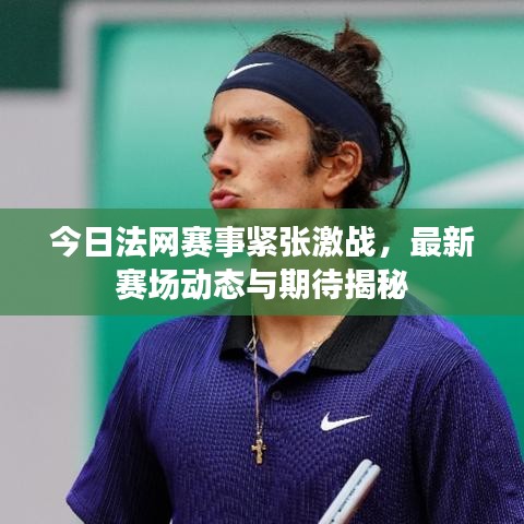 今日法网赛事紧张激战，最新赛场动态与期待揭秘