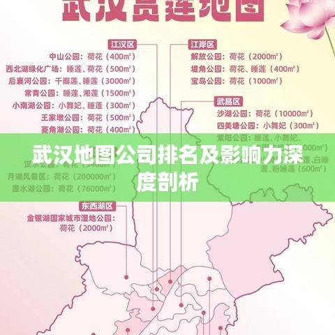 武汉地图公司排名及影响力深度剖析