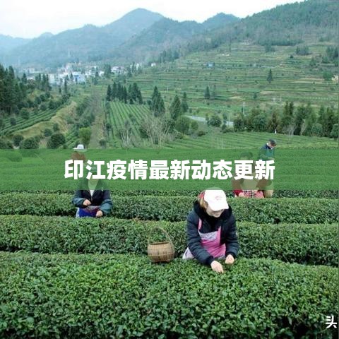 高抬贵手 第2页