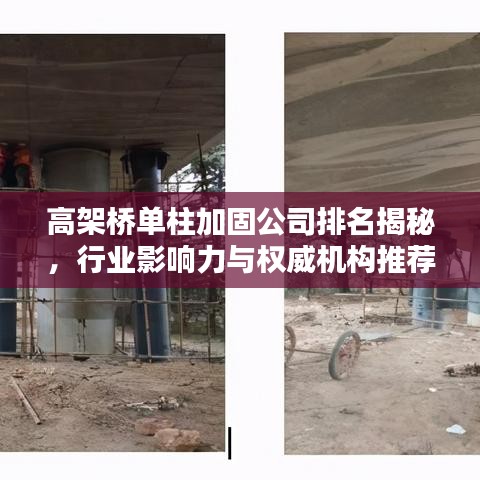 高架桥单柱加固公司排名揭秘，行业影响力与权威机构推荐