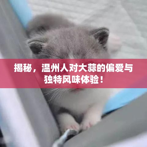 钗荆裙布 第2页