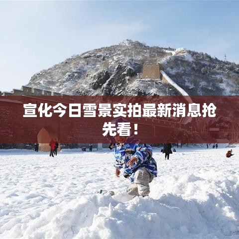 宣化今日雪景实拍最新消息抢先看！
