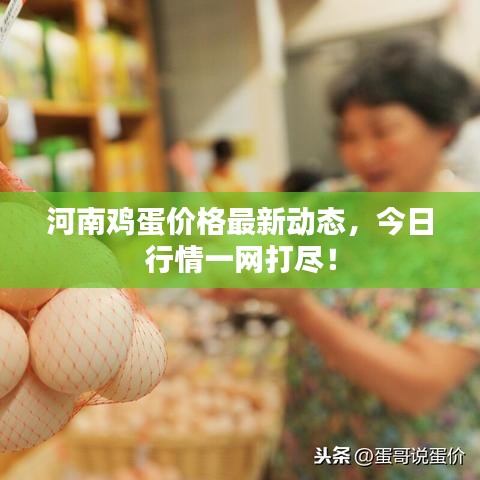 河南鸡蛋价格最新动态，今日行情一网打尽！