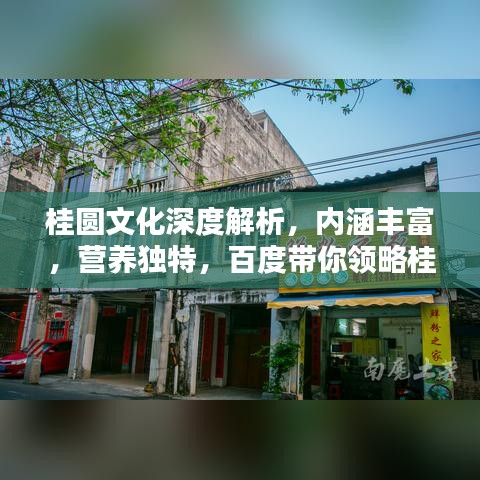桂圆文化深度解析，内涵丰富，营养独特，百度带你领略桂圆魅力