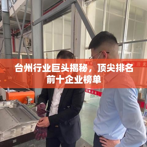 标新创异 第2页