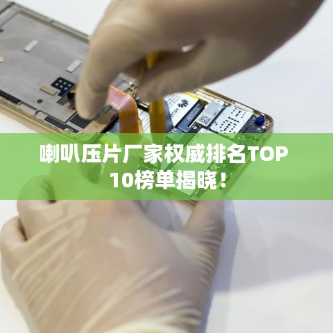 喇叭压片厂家权威排名TOP 10榜单揭晓！