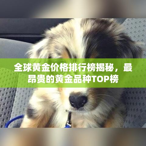 全球黄金价格排行榜揭秘，最昂贵的黄金品种TOP榜