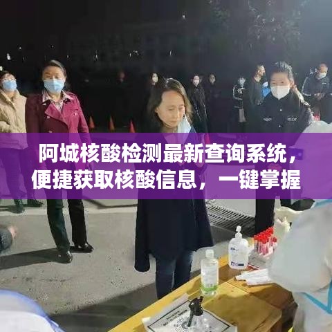 阿城核酸检测最新查询系统，便捷获取核酸信息，一键掌握防疫动态
