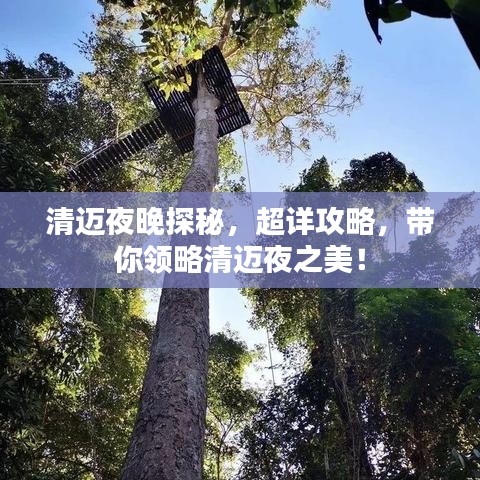 清迈夜晚探秘，超详攻略，带你领略清迈夜之美！