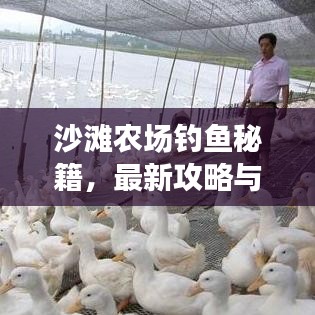 沙滩农场钓鱼秘籍，最新攻略与技巧一网打尽