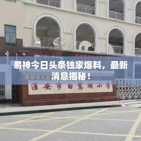 司空见惯 第2页