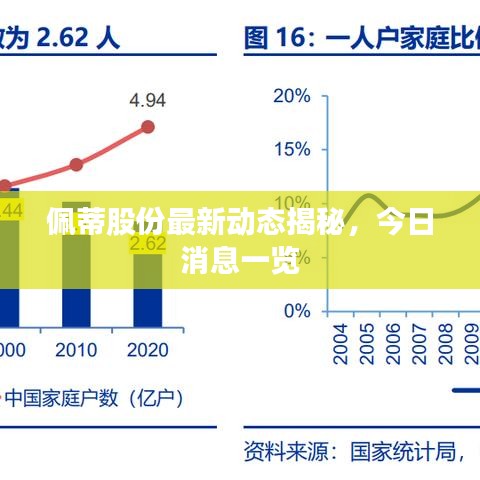 佩蒂股份最新动态揭秘，今日消息一览
