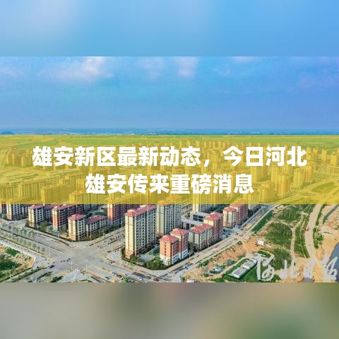 神采奕奕 第2页
