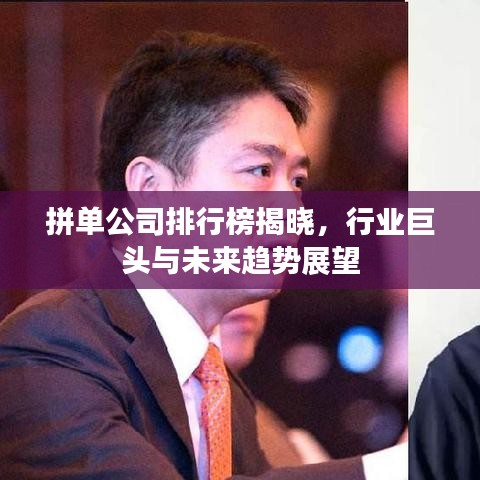 拼单公司排行榜揭晓，行业巨头与未来趋势展望
