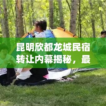 昆明欣都龙城民宿转让内幕揭秘，最新动态，不容错过！