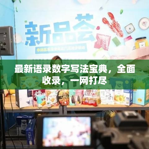 最新语录数字写法宝典，全面收录，一网打尽