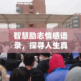 智慧励志情感语录，探寻人生真谛与力量之源