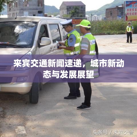 不修边幅 第2页