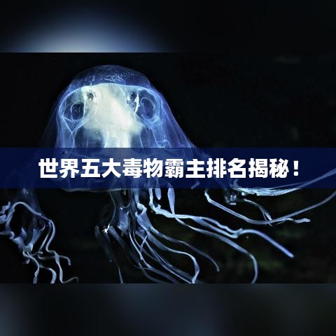 不耻下问 第2页