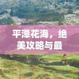 虫蚀鸟步 第2页