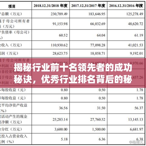 揭秘行业前十名领先者的成功秘诀，优秀行业排名背后的秘密！