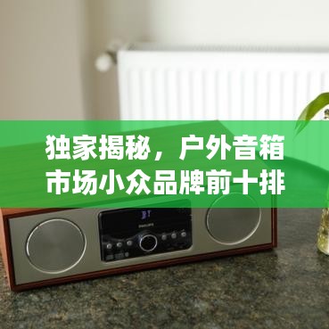 独家揭秘，户外音箱市场小众品牌前十排名，音质绝佳！