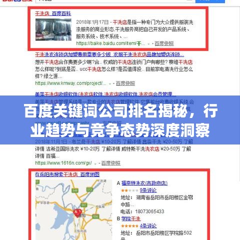 百度关键词公司排名揭秘，行业趋势与竞争态势深度洞察