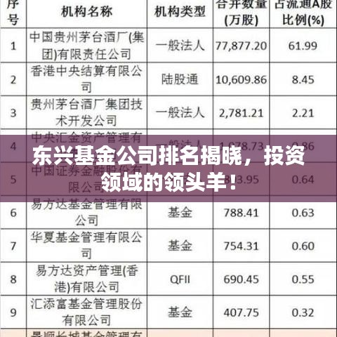 东兴基金公司排名揭晓，投资领域的领头羊！