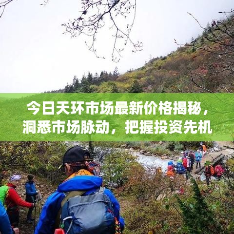 今日天环市场最新价格揭秘，洞悉市场脉动，把握投资先机