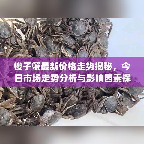梭子蟹最新价格走势揭秘，今日市场走势分析与影响因素探讨