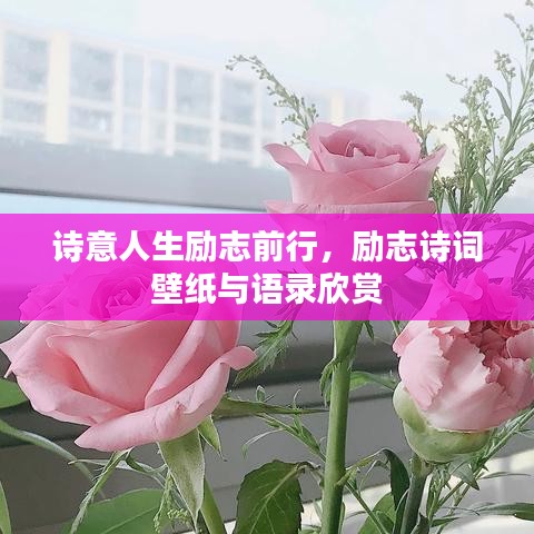 诗意人生励志前行，励志诗词壁纸与语录欣赏