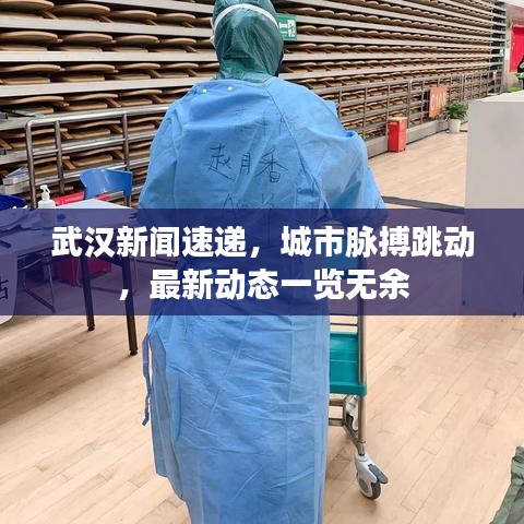 武汉新闻速递，城市脉搏跳动，最新动态一览无余