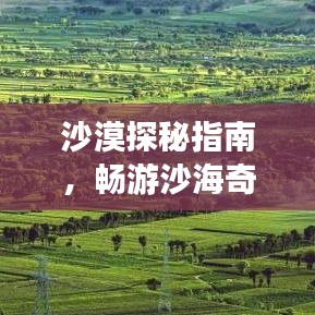 沙漠探秘指南，畅游沙海奇观，领略无尽风情