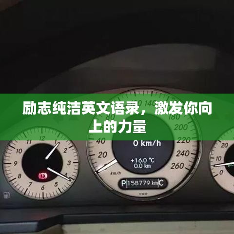 励志纯洁英文语录，激发你向上的力量