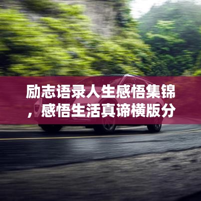 励志语录人生感悟集锦，感悟生活真谛横版分享